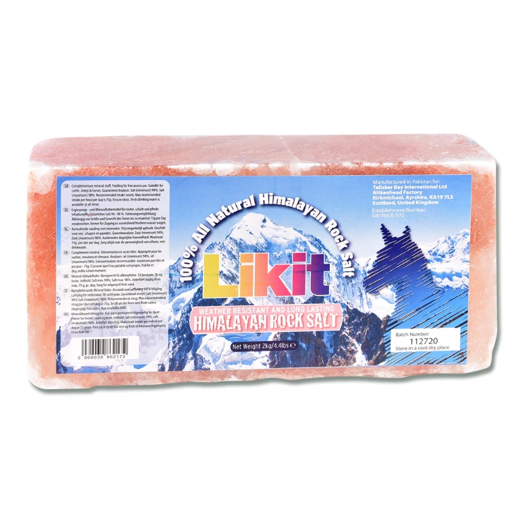 Pierre à Sel Likit De L'Himalaya