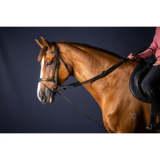 Rênes Allemandes Dy'on Cuir/Nylon 5/8 NEC