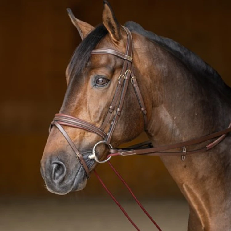 Rênes Allemandes HFI Cuir & Corde