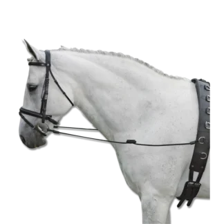 Rênes De Cravates Waldhausen Elastiques