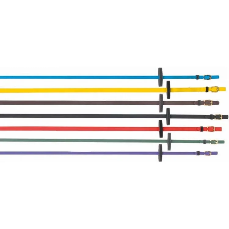 Rênes TdeT Lisses Biotack