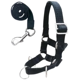 Set De Longe Crafty Ponies