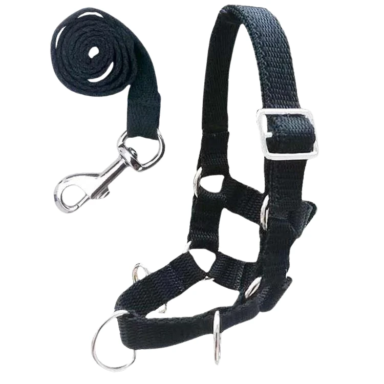 Set De Longe Crafty Ponies