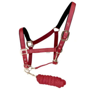 Set Licol Et Longe Flags & cup Estrella