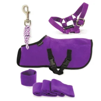 Set Polaire Crafty Ponies