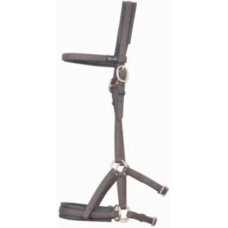 Sidepull TdeT Biotack