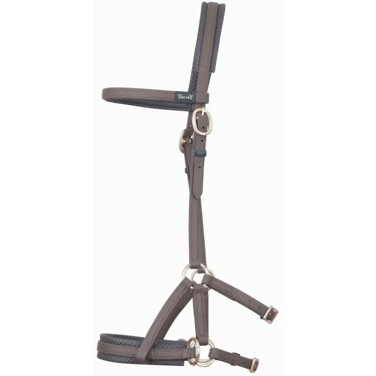 Sidepull TdeT Biotack
