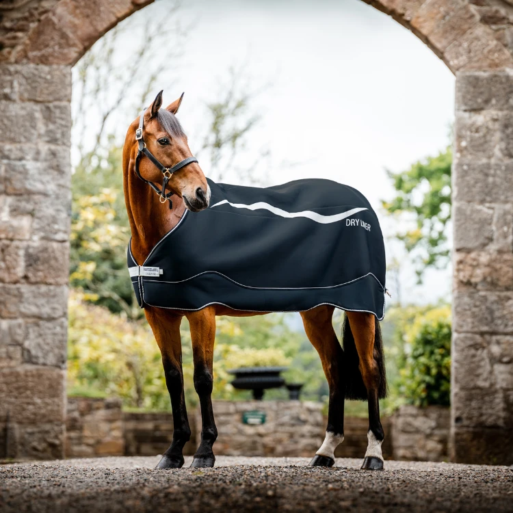 Sous-couverture Séchante Horseware Dry Liner