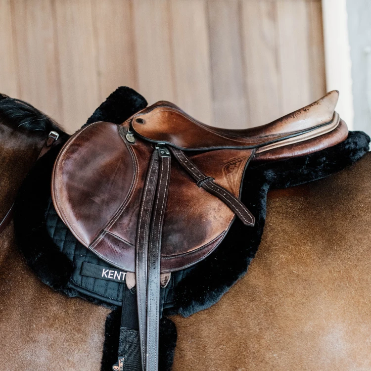 Tapis De Selle Kentucky Hunter Mouton Vegan Jumping