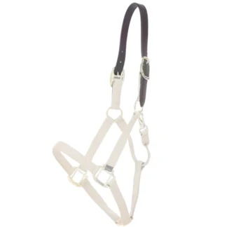 Têtière Kentucky Pour Licol Breakaway