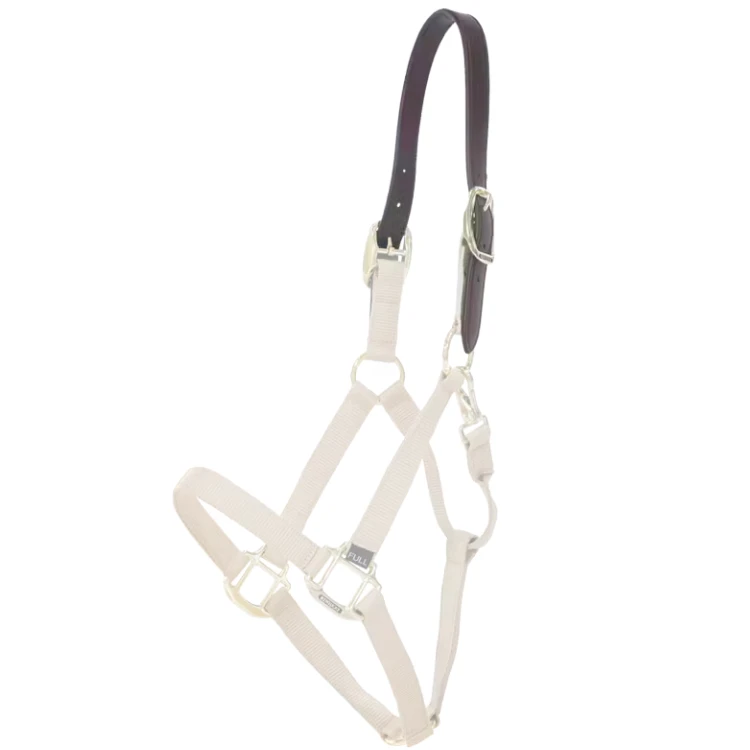 Têtière Kentucky Pour Licol Breakaway