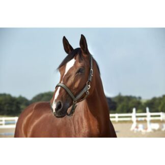 Horseguard SS'22 Anatomic halster