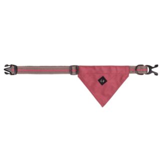 QHP SS25 Dog Collar with Bandana Collection