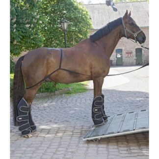 Waldhausen Transport Aid