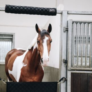 Kentucky Head Protector