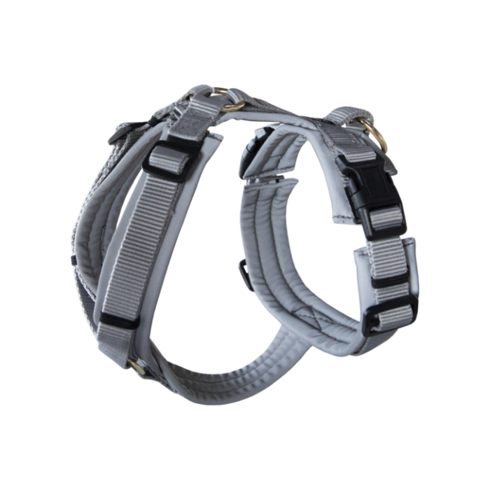 Kentucky Dog Harness active reflective