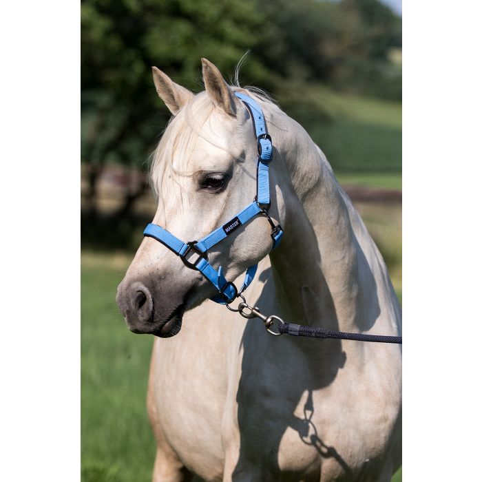 MASTER halter sky blue