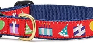 Birthday Gift Cat Collar