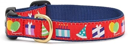 Birthday Gift Cat Collar