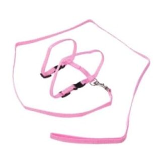 FOMIYES 3st Kaninchenkatze Katzenleine Leine Katzenhalsbänder Kleine Tiere Katzenhalsband Laufgeschirr Für Katzen Chinchilla Frettchen Leine Seil Leine Gurt Kaninchenleine Gürtel Haustier