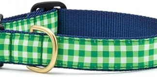 Lime Gingham Cat Collar