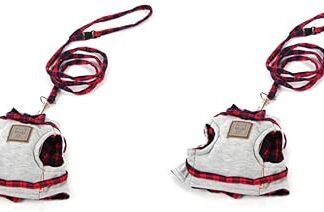 Kisangel 2St Brustgurt für Haustiere Haustier Geschirr Weste für Haustiere Muskelshirt Leine Katzengeschirr Brustgeschirr für Katzen Hündchen einstellen Katzenkette Gürtel