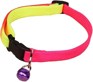 DOITOOL verstellbare für Haustiere VIP- Haustierhalsbänder Leinenhalsbänder Seil Haustier Hund Katze Halsband Haustier Hundehalsband Hundeleine Geschirr