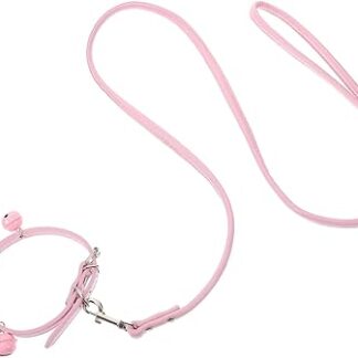 POPETPOP Pack of 2 Pet Collar, Breakaway Cat Collar, Pet Collar, Lead Belt with Buckle, High Performance Lead, Pet Lead, Collar, Leash, Puppy Accessories, Everyday Supplies