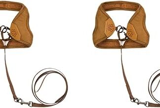 POPETPOP Pack of 2 Christmas Polish Escape Supplies Straps with Harness Lead - for Pet Walks and Coffee Holiday Cats Walking Vest Blunt Dog M Size