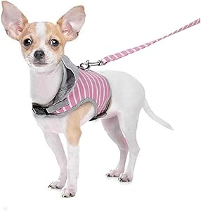BESPORTBLE Haustier-Pullover cat Harnesses katzenhalsband Katzenweste Katzen Geschirr für Welpen Kätzchenleine Haustier Geschirr Brustgurte für Haustiere Reine Baumwolle Rosa