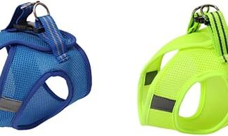 BUGUUYO Chest Strap for Cats, Cat Collar, Cat Pet Harness, Cat Traction Rope, Chest Strap for Pets, Vest, Linen, V-Strap, Cat Harness, Pet Harness, Green