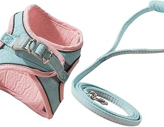 PRETYZOOM 1 Satz Haustierleine Universal- bequemes Katzengeschirr Weste für Haustiere schwer Haustier Geschirr Zugband für Haustierkatzen draussen Gurt Leinen Kordelzug Gürtel Wildleder-