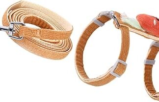 INOOMP 1 Satz Hunde- und Katzenleinen-Set Hundegeschirr und Leine-Set bequemes Katzengeschirr pet Supplies haustierbedarf Muskelshirt Tanktops Haustiere Geschirr Zugleine für Katzen Hase