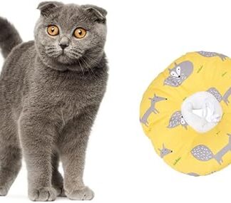 POPETPOP Haustierhalsband para Tuch Haustierhalsband Katze Nackenschutz Elizabeth Circle The Cat Program Rettungshalsband Für Haustiere