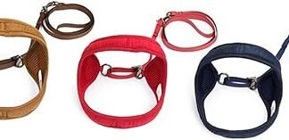 FRCOLOR Cat Harness Strap Straps Tow Strap Chainring Backpack Harness for Dogs Puppy Harness Cat Strap Pet Accessories Pet Harness Vest Style Lead Rope Cat Harness