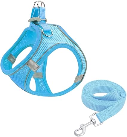 1 x Cat Harness, Dog Harness, Cat Harness Lead, Harness for Cats, Adjustable Cat Vest, with 1 x Escape Proof Cat Lead, for Small, Medium Cats (Blue)