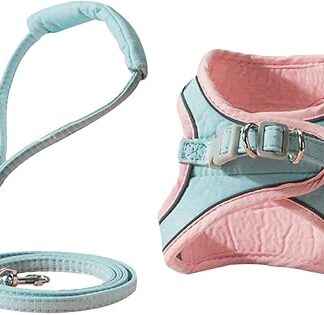 Hohopeti 1 Set Pet Leash Universal Wiring Harness Running Vest Durable Dog Chain Leash Pet Vest Harness Small Dog Leash Cat Harness Leash Outdoor Walking Harness