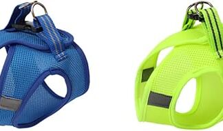 Beavorty Belt Guinea Pig Harness Pet Chest Harness Breathable Harness Cat Harness Lead Wedge Strap Chest Strap for Cats Chest Strap for Pets Cat Harness Rope