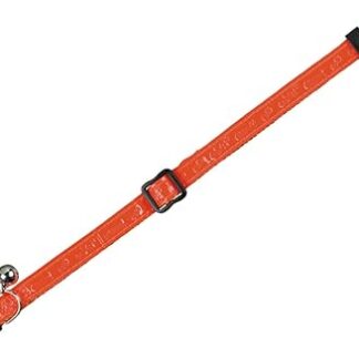 Nobby Neon Cat Collars, Orange