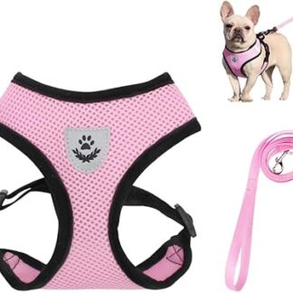 Bieiyhe Cat Harness with Lead, Escape Proof S, Dog Harness Puppy Adjustable, Safety Harness Cat Chest Harness, Cat Lead Kitten Harness, Cat Harnesses, Cat Leash for Kitten Dogs - Pink