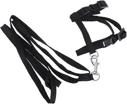 Sosoport Cat Collar Lead Ferret Lead Cat Traction Rope Belt Cat Lead Pet Traction Rope Let the Cat Slip Wedge Strap Cat Harness Pet Accessories Black