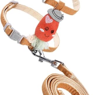 FRCOLOR 1 Set Walking Cat on the Running Lead for Cats Harness for Small Pets Pets Outdoor Accessory Set of Harness and Lead for Pets Carrot Polyester Chainring