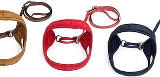 Beavorty Cat Harness, Adjustable Harness for Pets, Pet Harness, Dog Tension Chainring, Puppy Harness, Pet Accessories, Cat Strap, Cat Harness Strap, Girls Lead Rope