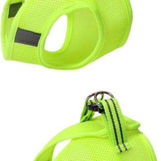 YARNOW 2St Haustier Geschirr Katzen sicherheitsgeschirr cat Harnesses Brustgurt für Katzen Langlebiges Haustiergeschirr keilriemen Brustgurt für Haustiere Katzengeschirr Leine Weste