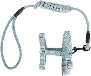 Ipetboom Cat Gift Pet Item Cat Rope Dealspet Accessories Pet Supplies Pet Supplies Cat Collar Cat Leash Carry Strap Cat Harness Cat Lead Chain Ring