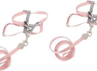 BESPORTBLE 2 Sets of Adjustable Cat Harness Sling for Kittens Dog Training Kitten Lead Running Harness and Lead for Cats Small Harness for Cat Handc Pet Linen Polyester
