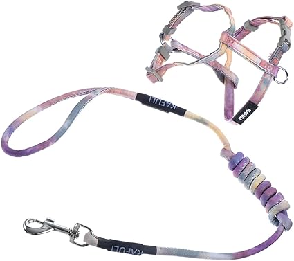 POPETPOP Racer-gurtzeug Welpengeschirr Katzentunnel Hunde Katzenhalsbänder Katzenspielzeug Katzenbürste Für Behaarte Katzen Leine Anschnallen Katzenpullover Katzen-Tracker Käfig Legierung
