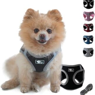 NEEZ Premium Harness for Cats and Small Dogs with Lead | Super Comfortable Cat Vest | Escape Proof and Breathable | Colour: Black/Grey Size: XS