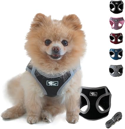 NEEZ Premium Harness for Cats and Small Dogs with Lead | Super Comfortable Cat Vest | Escape Proof and Breathable | Colour: Black/Grey Size: XS