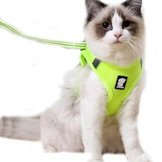N/A Cat Harness and Lead, Reflective Escape Proof Adjustable Breathable Mesh Padded Vest Harnesses for Pets Cats Outdoor Walking (S, Fruit Green)